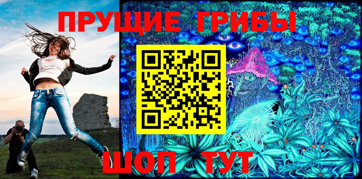 Псилоцибиновые грибы Psilocybe  Вход с VPN  Псилоцибиновые грибы Cubensis  Тавда 